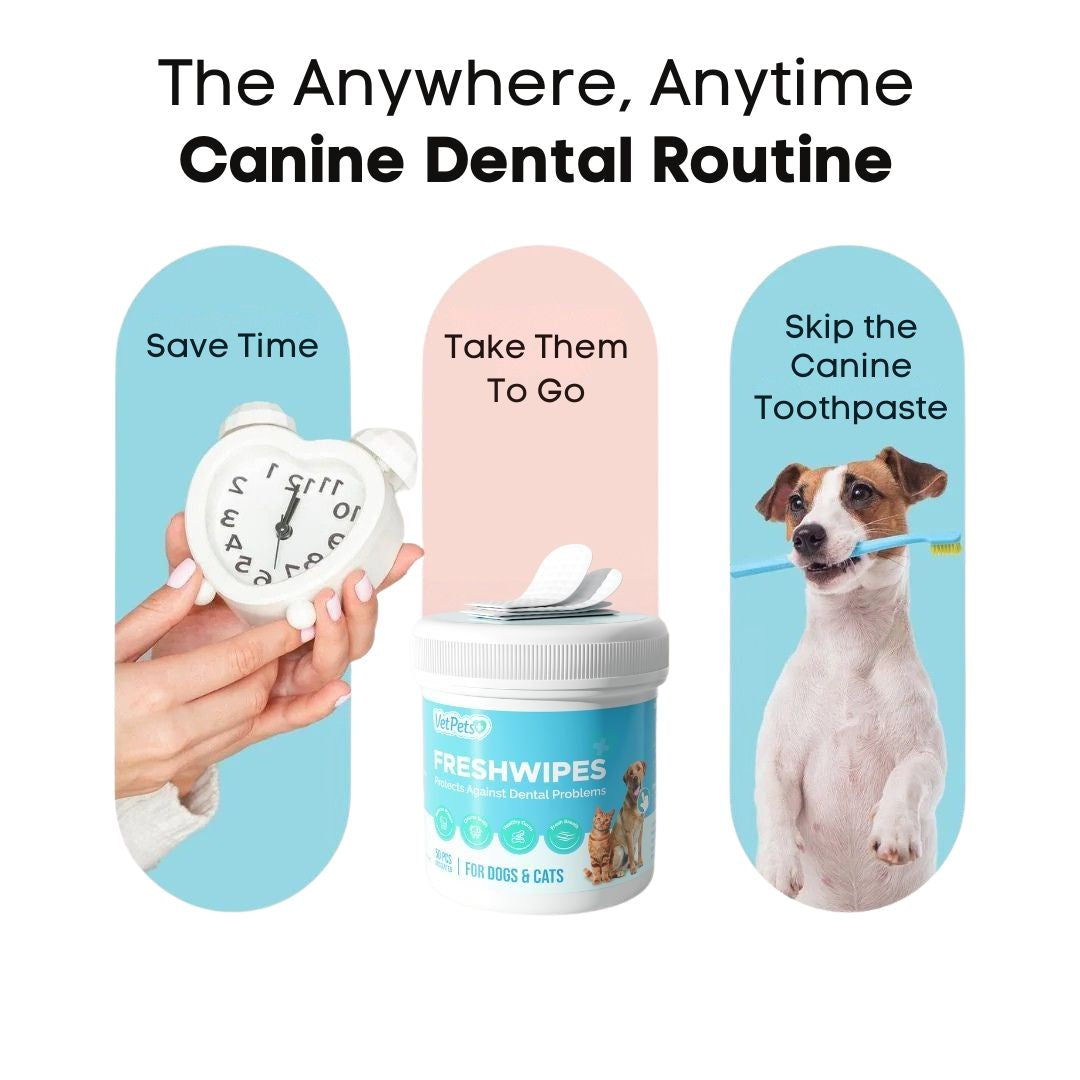 FreshCare Complete Health Kit