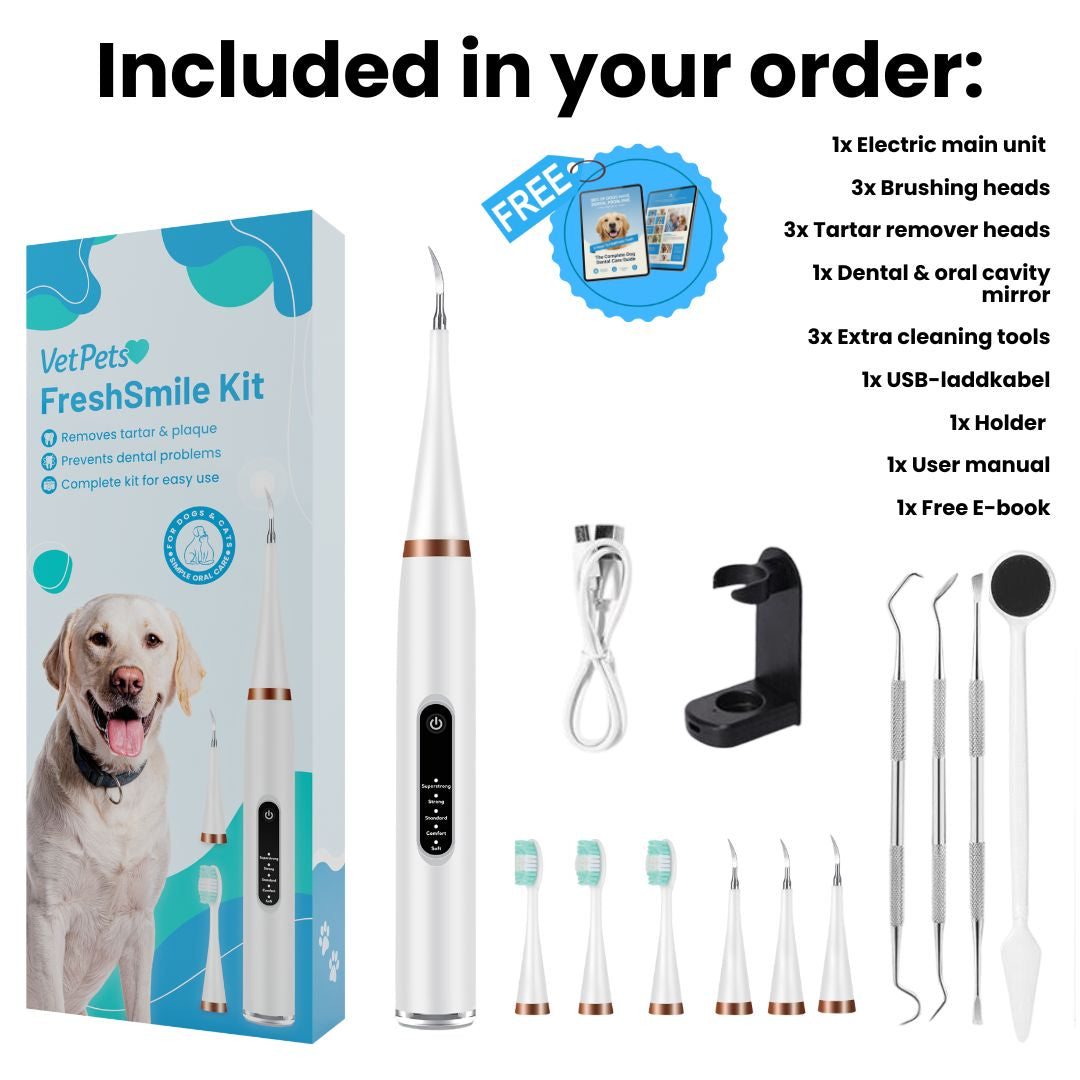FreshSmile 3-i-1-sett – Trygg tannsteinfjerner