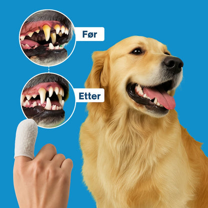 FreshWipe Kit - Beskytter mot tannproblemer