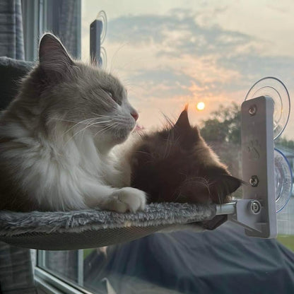 KattHammock - Avslappnande kattparadis 