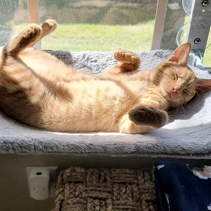 KattHammock - Avslappnande kattparadis 