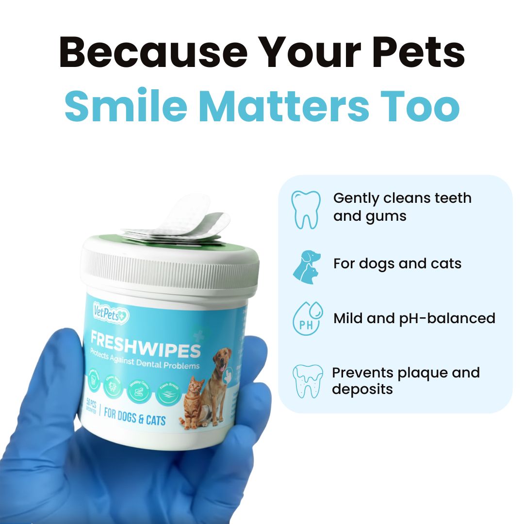 FreshWipe Kit Cats – Beskytter mot tannproblemer