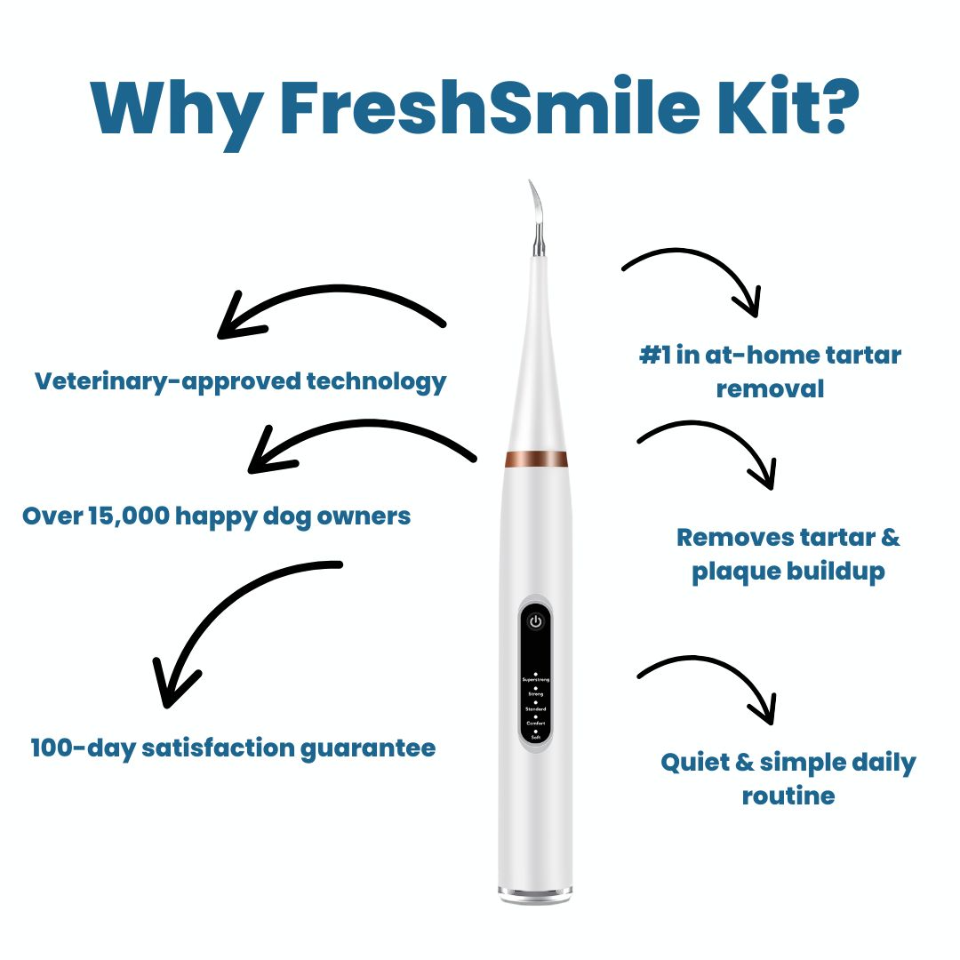FreshSmile 3-i-1-sett – Trygg tannsteinfjerner