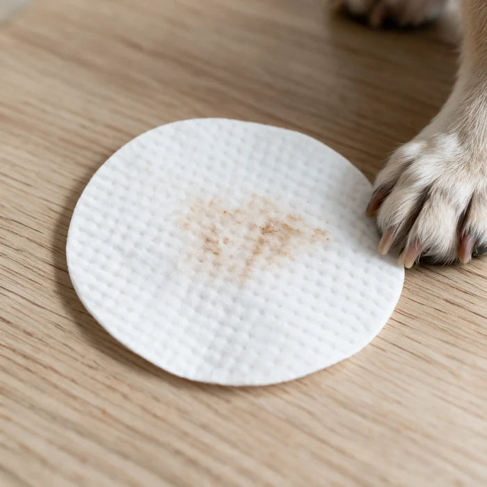 A used EyeWipes pad, brown with the build-up lifted off a dog's eye area