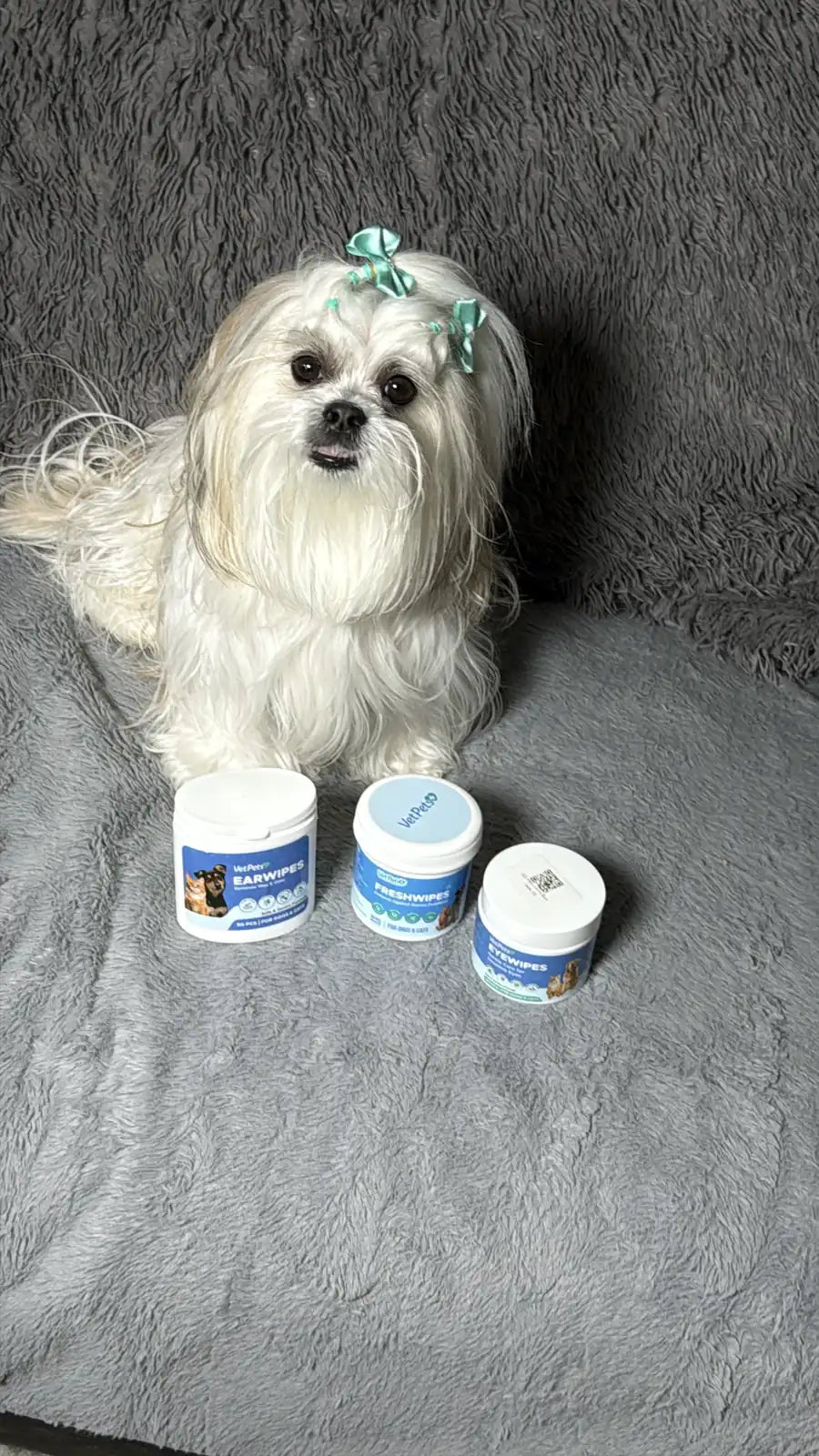 A customer's small white dog with bows next to three VetPets jars